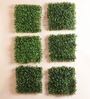 Green Green Artificial Decorative Pvc Eucalyptus Boxwood Wall Mat
