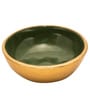 Green Iron Tropical paradise 2 Pcs Square Platter With Dip Bowl