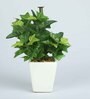 Green Ivy Pvc Artificial Bonsai With White Ceramic Pot