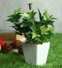 Green Ivy Pvc Artificial Bonsai With White Ceramic Pot