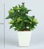 Green Ivy Pvc Artificial Bonsai With White Ceramic Pot