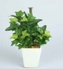Green Ivy Pvc Artificial Bonsai With White Ceramic Pot