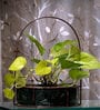 Green Marble with Copper Antique Metal Trellis Planter