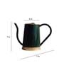 Green Metal Premium Watering Can