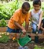 Green Metal Premium Watering Can