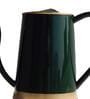Green Metal Premium Watering Can