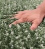 Green Microfiber 18x30 Inches Anti Skid Bath Mat