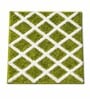 Green Microfiber 24x16 Inches Anti-Skid Door Mat