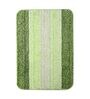 Green Microfibre Plain Solid 27X19 Inches Max Absorbent Bath Mat (Set of 2)