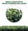 Blossom White & Green Nylon Decorative 20X20 Inches Artificial Grass
