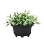 Green Plastic & Polyester Artificial Plant with Pot