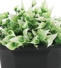 Green Plastic & Polyester Artificial Plant with Pot