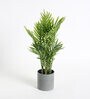 Green Plastic Artificial Arica Plam Plant