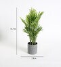 Green Plastic Artificial Arica Plam Plant