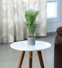 Green Plastic Artificial Arica Plam Plant