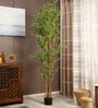 Plastic Abys Green Bamboo With Pot Artificial Plant