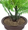 Green Plastic Artificial Bonsai with Pot