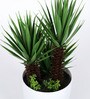 Green Plastic Artificial Palm Bonsai with Pot