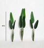 Plastic Green Birds Of Paradise Artifical Without Pot Artificial Plants