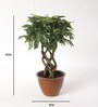 Plastic Alys Green Bonsai Artifical With Pot Artificial Plant