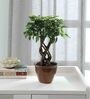 Plastic Alys Green Bonsai Artifical With Pot Artificial Plant
