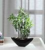 Plastic Wade Green Bonsai Artifical With Pot Artificial Plant
