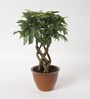 Plastic Alys Green Bonsai Artifical With Pot Artificial Plant