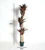 Plastic Green Cordyline Artifical With Pot Artificial Plants