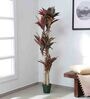 Plastic Green Cordyline Artifical With Pot Artificial Plants