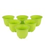 Green Plastic Planter