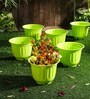 Green Plastic Planter