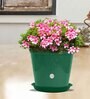 Green Plastic Round Shape Planter Set Of (10)