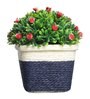 Green Plastic Small Red Flowers Artificial Plant with Pot