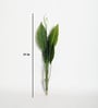 Plastic Green Spathe Artifical Without Pot Artificial Plants