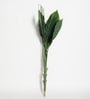 Plastic Green Spathe Artifical Without Pot Artificial Plants