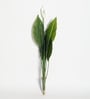 Plastic Green Spathe Artifical Without Pot Artificial Plants