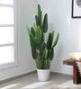 Plastic Phoebe Green Strelitzia Artifical Without Pot Artificial Plant