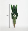 Plastic Phoebe Green Strelitzia Artifical Without Pot Artificial Plant