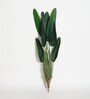 Plastic Phoebe Green Strelitzia Artifical Without Pot Artificial Plant