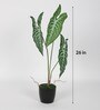 Green Polyester and Plastic Artificial Plant