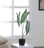 Green Polyester and Plastic Artificial Plant