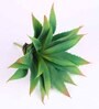 Green Polyester Artificial Aloe Vera Plant Without Pot