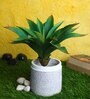 Green Polyester Artificial Aloe Vera Plant Without Pot