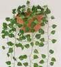 Polyester Green Begonia Creeper Without Pot Artificial Plants