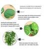 Polyester Green Begonia Creeper Without Pot Artificial Plants