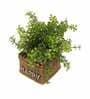 Green Polyester Artificial Bonsai Plant with Brown Resin Pot