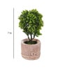 Green Polyester Artificial Bonsai Plant With Grey Resin Pot