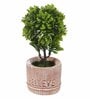 Green Polyester Artificial Bonsai Plant With Grey Resin Pot