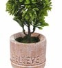 Green Polyester Artificial Bonsai Plant With Grey Resin Pot