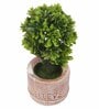 Green Polyester Artificial Bonsai Plant With Grey Resin Pot